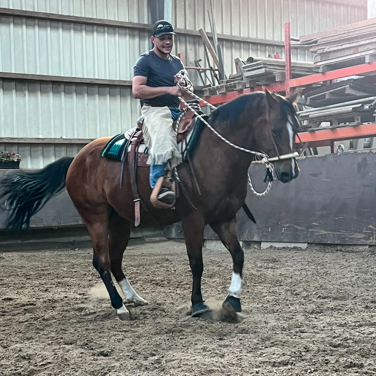 Porträt von Phillip Müller, Westernreittrainer im SaddleWorld-Trainerprogramm